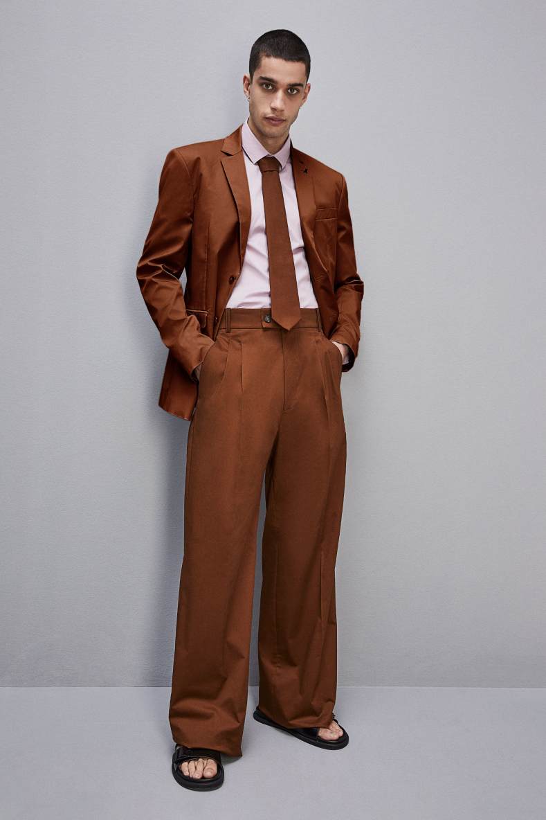 Cotton twill pleated pants, Brown, Patrizia Pepe